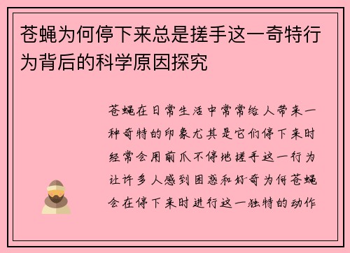 苍蝇为何停下来总是搓手这一奇特行为背后的科学原因探究